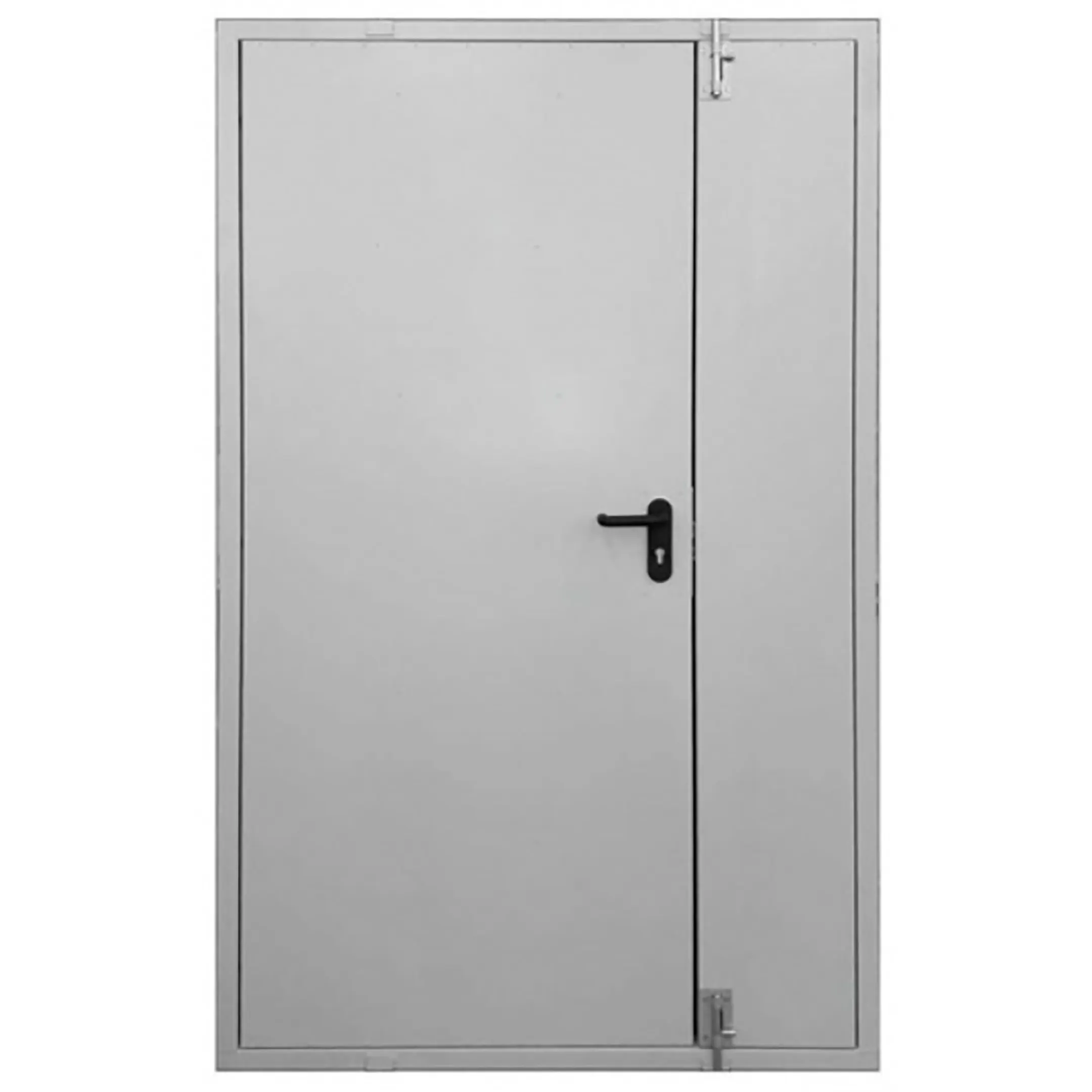 Дверь тамбурная металлическая ДТ-2-1350х2050